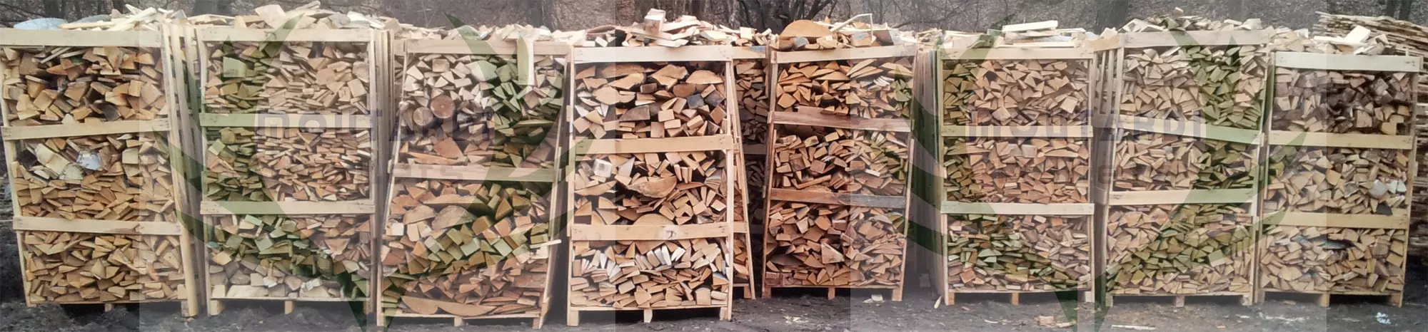 Beech wood scraps 5